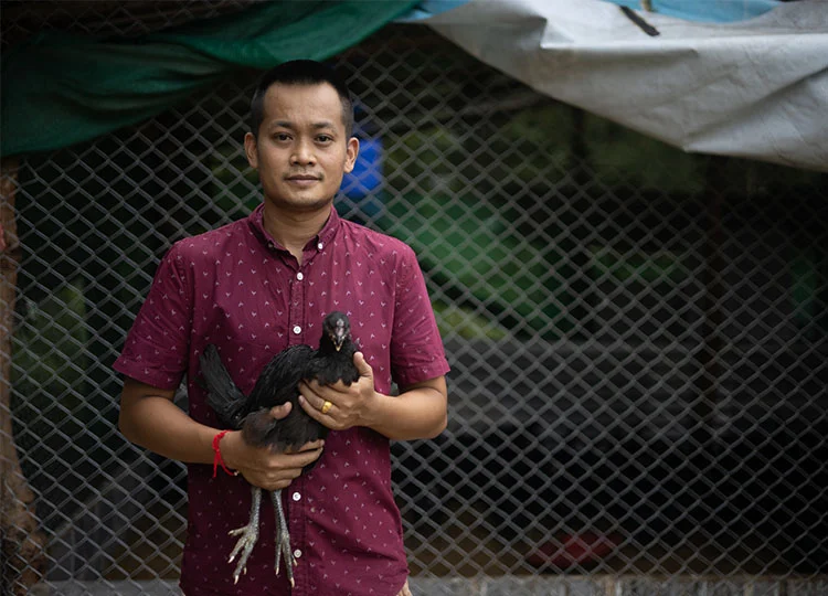 ไก่ประดู่หางดำพนมไพร พัฒนาคุณภาพ-สร้างรายได้เสริม