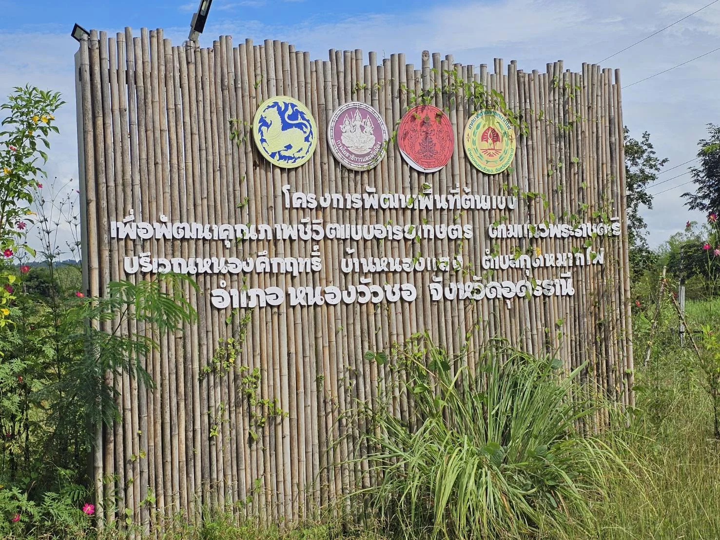 “ปิดทองหลังพระฯ” หนุนชุมชนบ้านหนองแสง พัฒนาเกษตรกรต้นแบบ สู่การผลิตผักปลอดภัยตามแนวพระราชดำริ