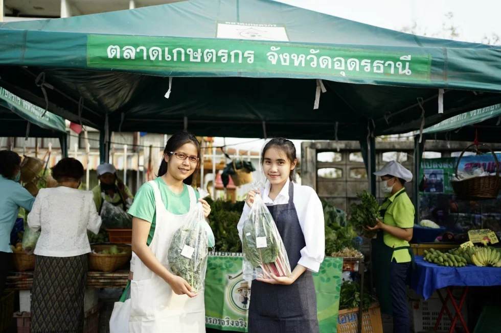 [บทความ] โครงการปลูกผักในโรงเรือน
