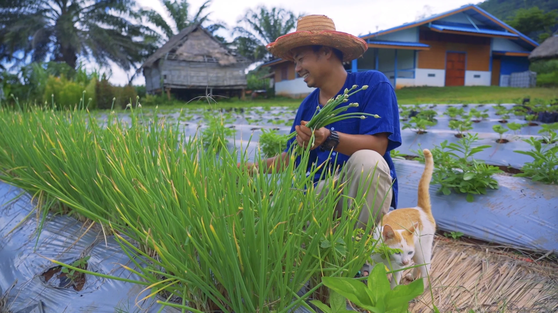 พร้อมยกระดับ"แก่นมะกรูด" สู่เกษตรคุณภาพ ยึดหลัก "ระเบิดจากข้างใน" อย่างยั่งยืน